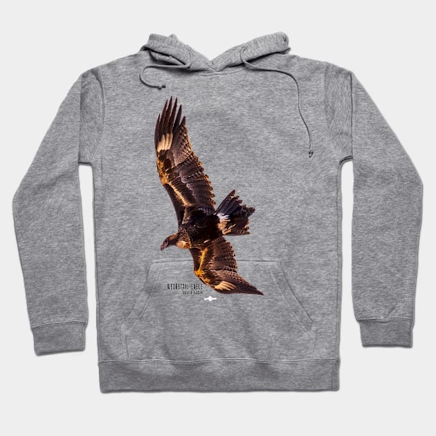 Wedgetail Eagle_02C Hoodie by seadogprints